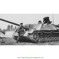 Jagdpanzer - Jagdpanther - JagdTiger - Fotos