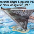 Lippisch DM-1 - Ginklų arsenalas 102