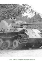 Panther - Photos