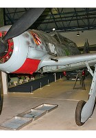 Focke-Wulf Fw 190S - Walk Around