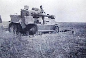 AFV distrutta e danneggiata dalla battaglia - Foto