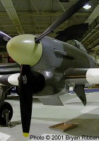 Hawker Typhoon - Walk Around