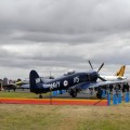 Hawker Sea Fury - Se promener