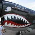 カーチス P-40 ウォーホーク - ウォークアラウンド