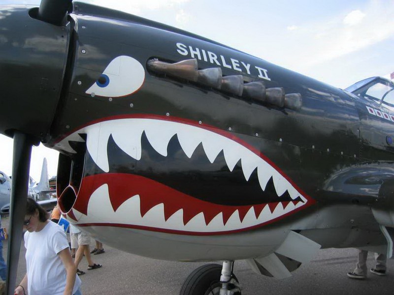 Curtiss P-40 Warhawk - Procházka