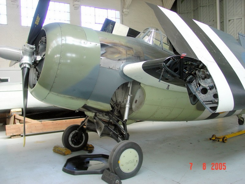 Grumman FM-2 Wildcat - WalkAround