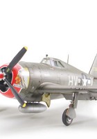 共和国 P-47D 雷电 - 剃刀背 - 塔米亚 61086