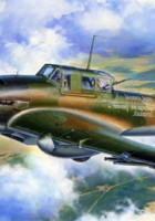 Ilyushin IL-2 Shturmovik - Tamiya 61113