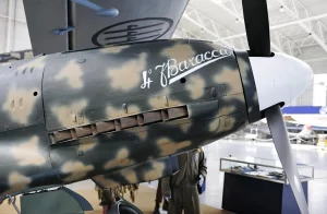 Macchi MC-202 - WalkAround