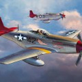 Limitovaná edícia Mustang Tuskegee Airmen - Hasegawa 08225