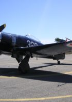 Hawker Sea Fury vol3 - WalkAround