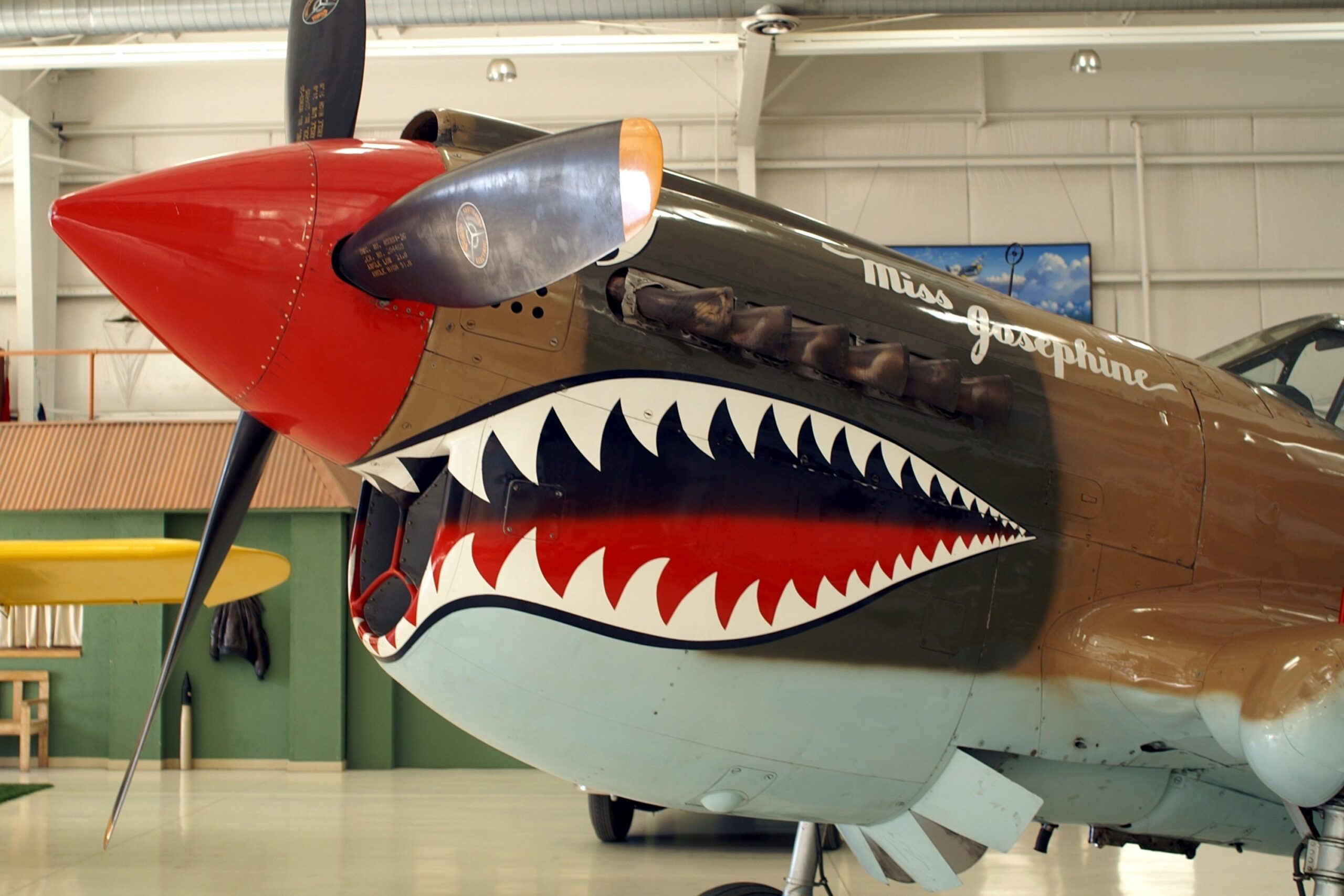 カーチス・ライト P-40N キティホーク