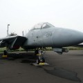 Grumman F-14 Tomcat - WalkAround