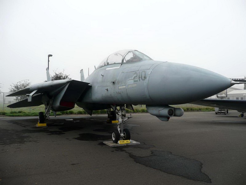 Grumman F-14 Kater - WalkAround