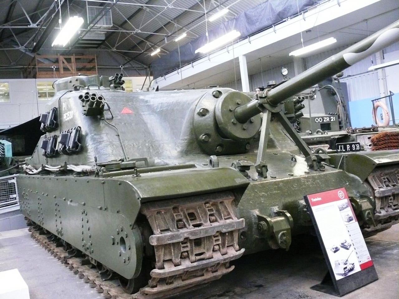 Черепаха А39