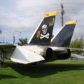 Grumman F-14A Kater