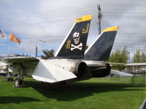Grumman F-14 Tomcat vol2 - WalkAround