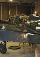 Grumman F8F Bearcat - WalkAround
