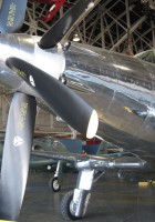 Fisher P-75鹰
