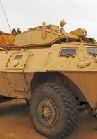 M1117 Armored Security Vehicle - Photos & Video