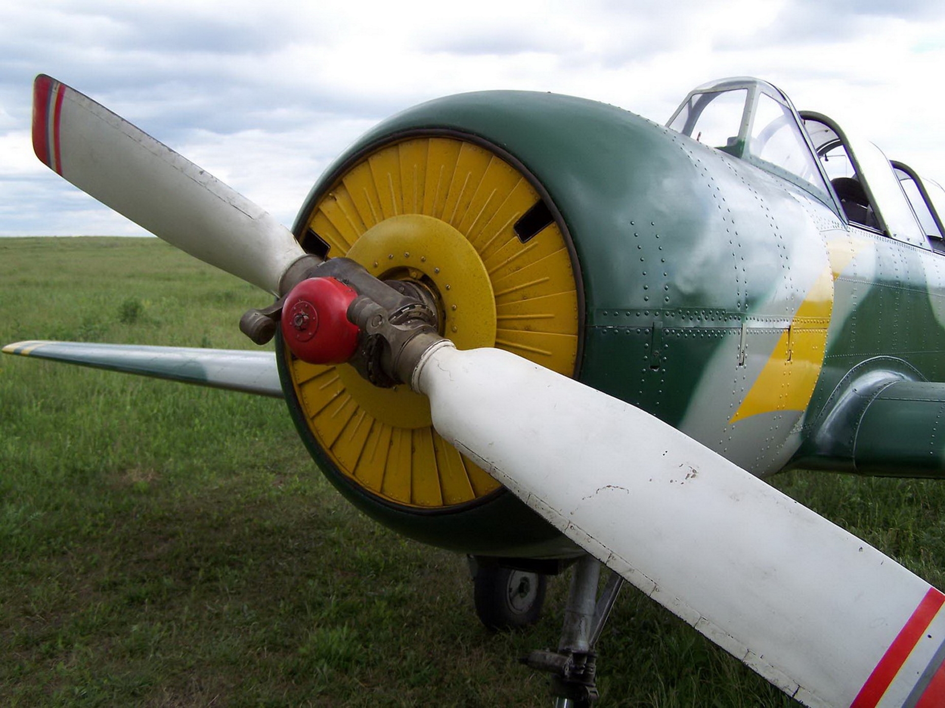 Yak-52 (yak-52)