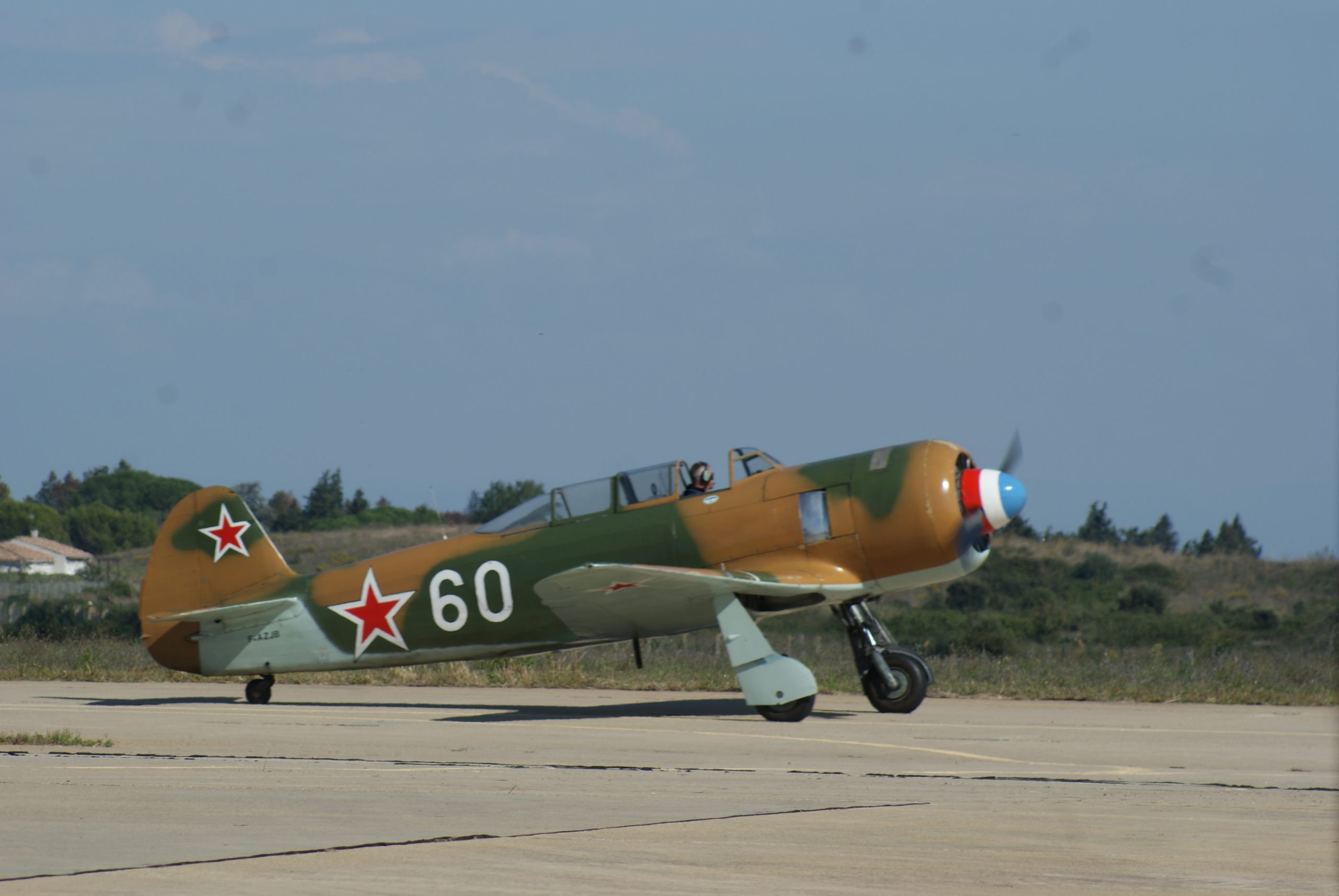 Yakovlev Yak-11 Elg