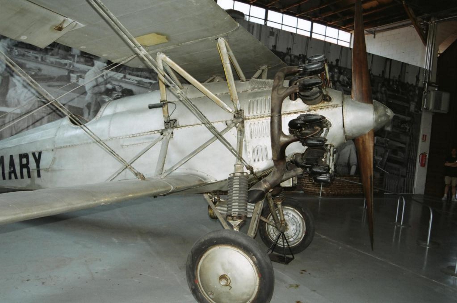 Caproni Ca.113