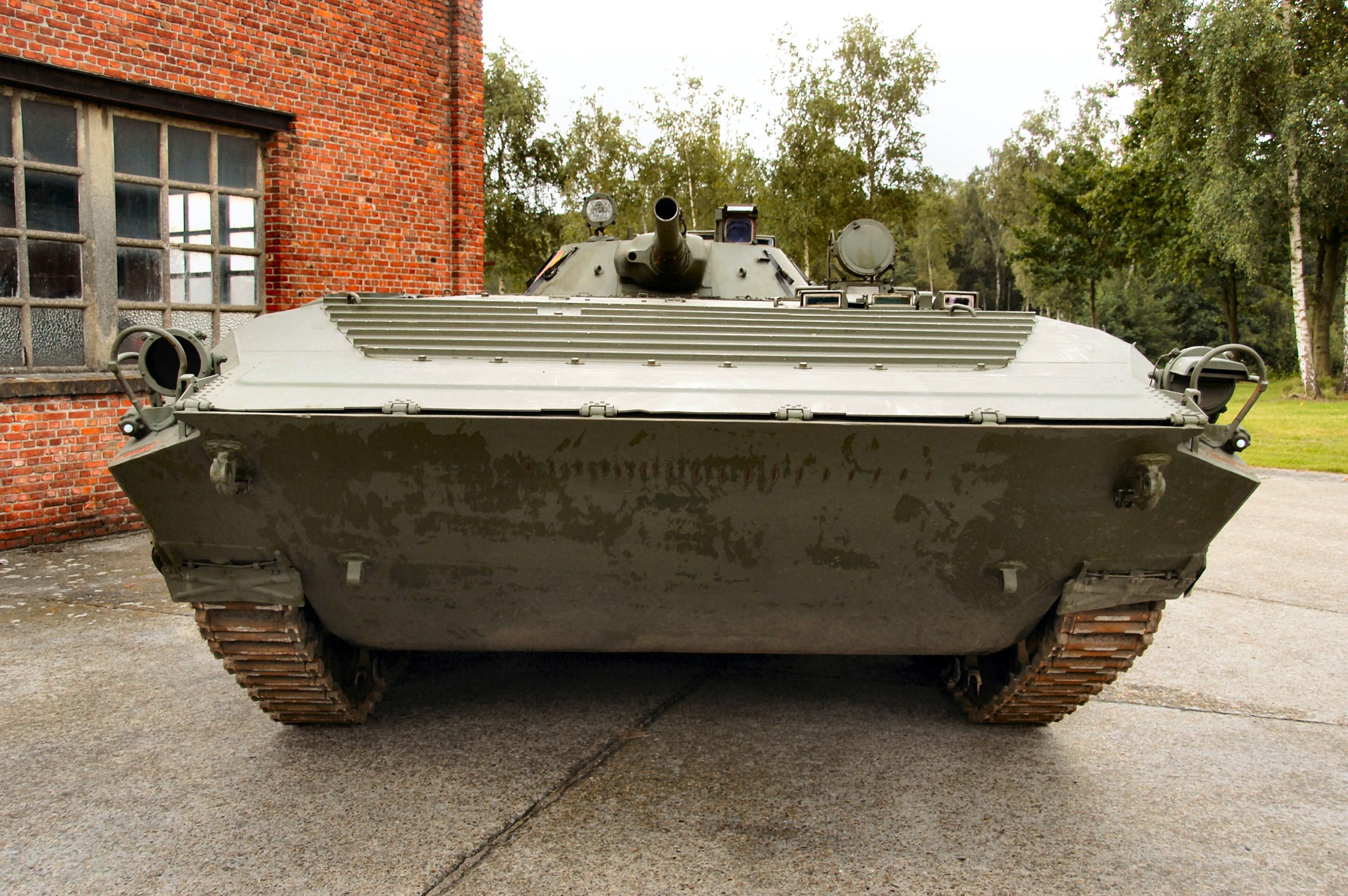 BMP-1 (BMP-1)