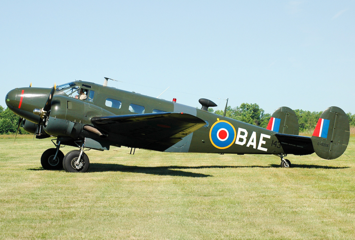 Beech D18