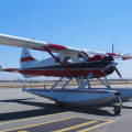 de Havilland Canada DHC-2 Bever