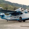 Grumman gås