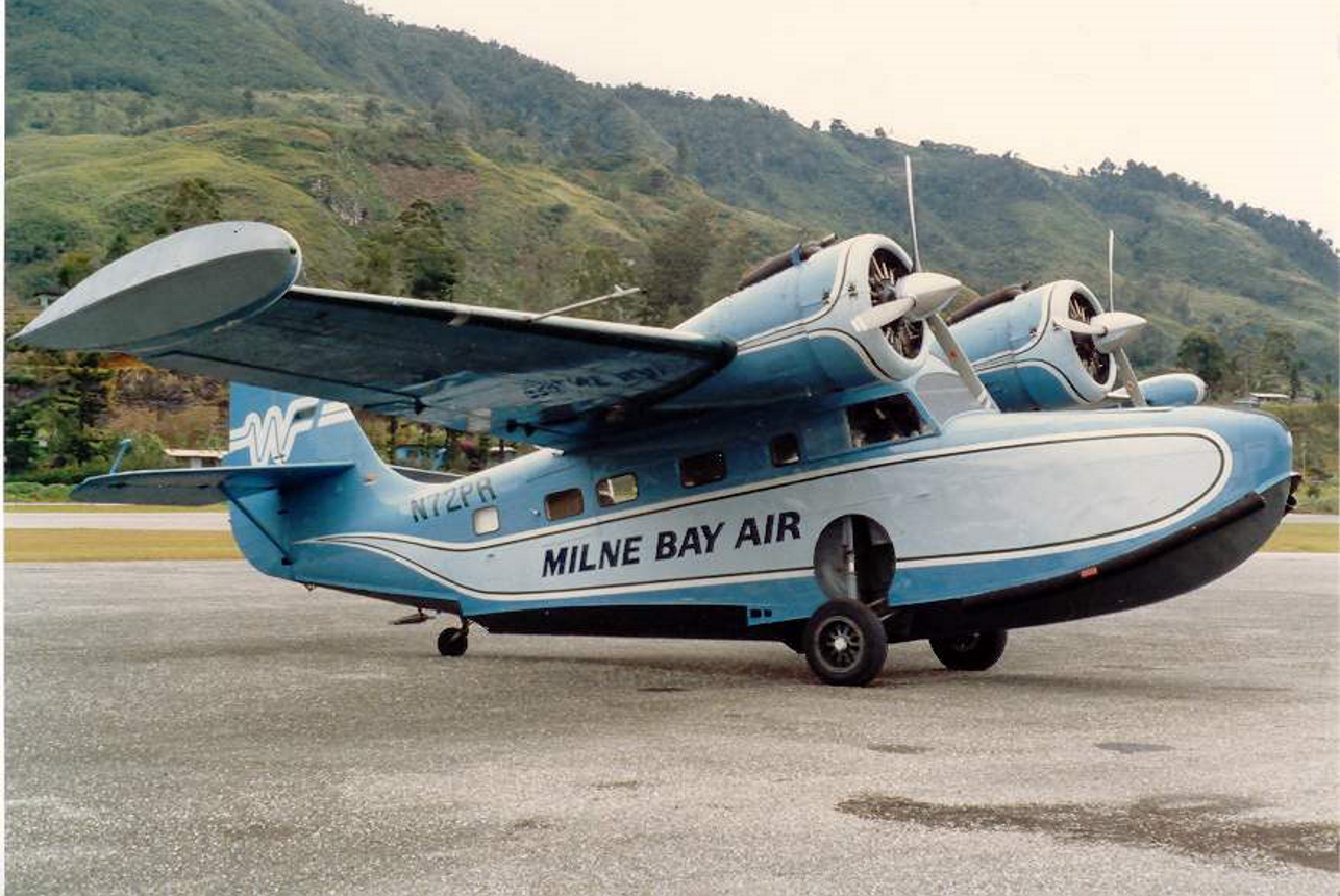 Grumman gås