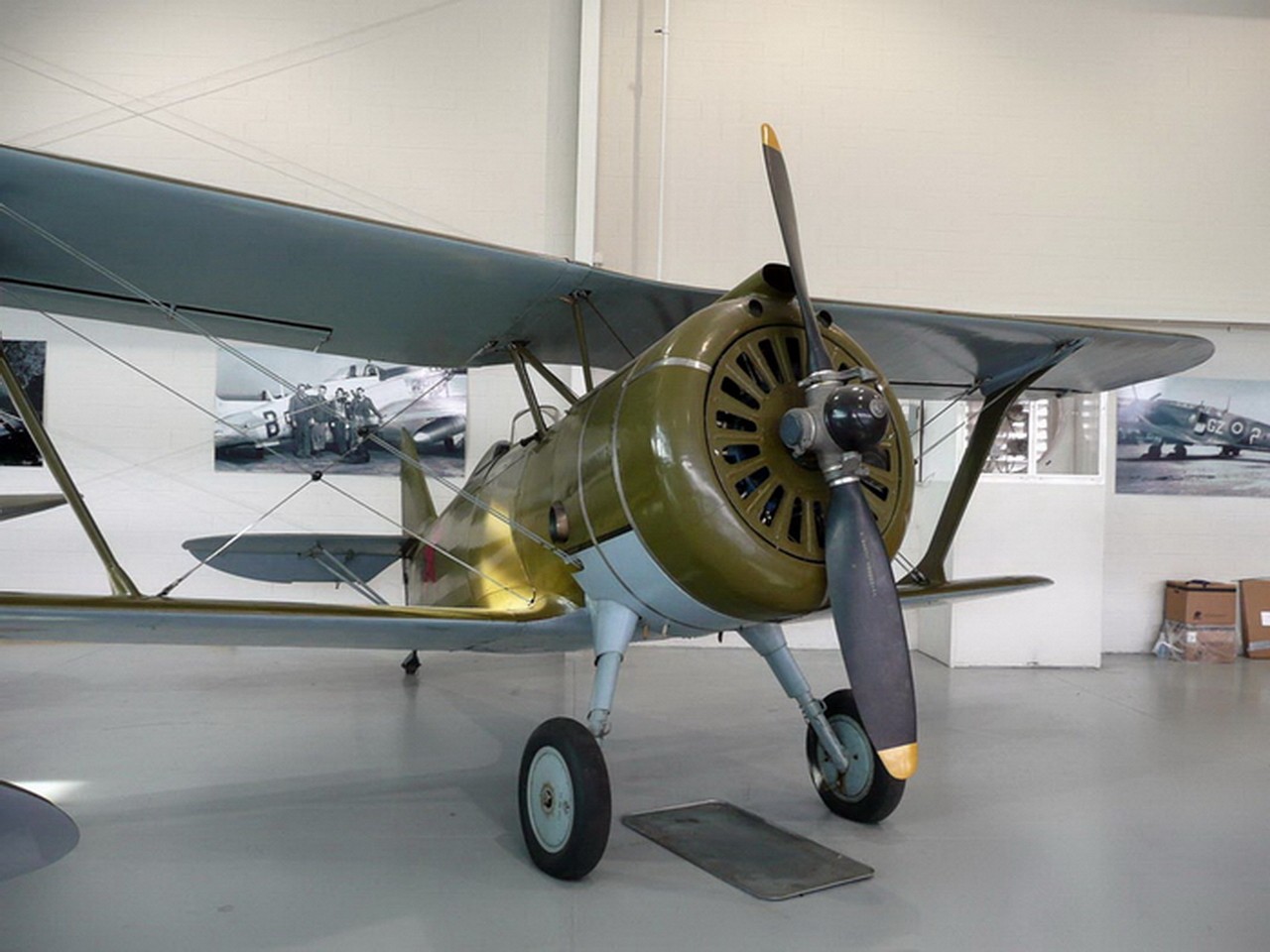 Polikarpov I-152