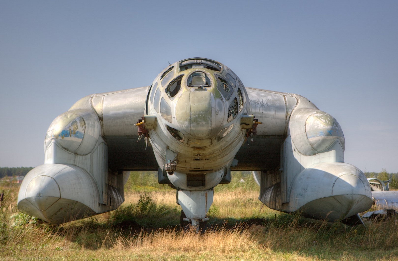 Bartini Beriev VVA-14