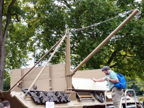 Bergepanther