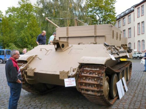 Bergepanther