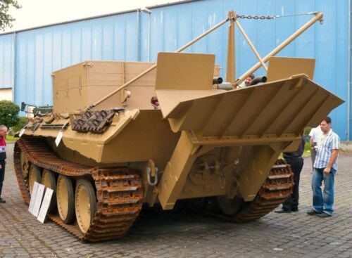 Bergepanther