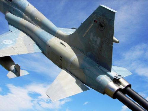 CF-116 Freedom Fighter