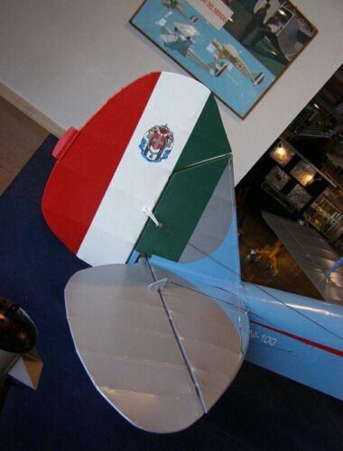 Caproni Ca.100