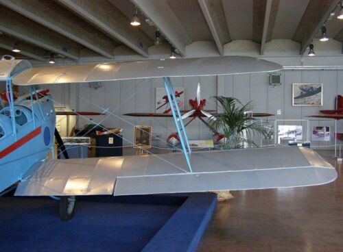 Caproni Ca.100