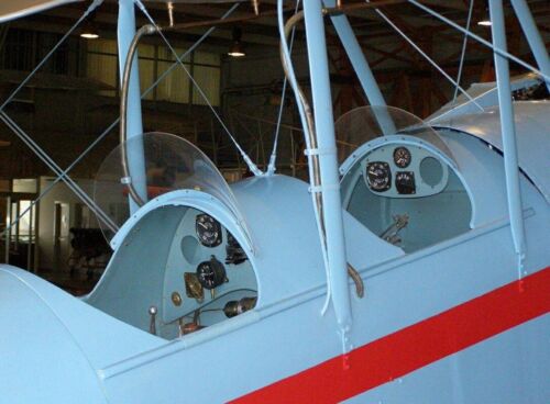 Caproni Ca.100