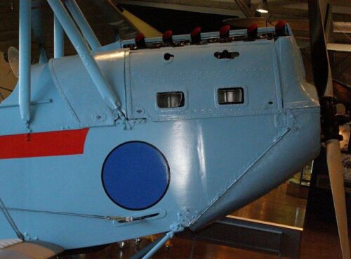 Caproni Ca.100