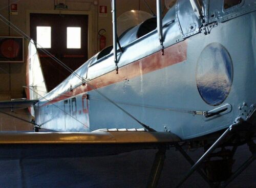 Caproni Ca.100
