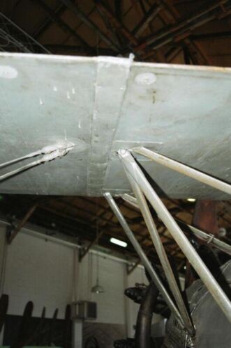 Caproni Ca.113