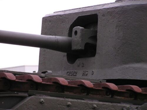 Churchill Crocodile