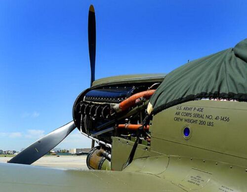 Curtiss P-40 Warhawk 22