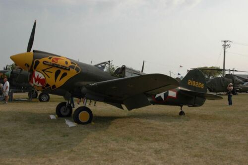P-40