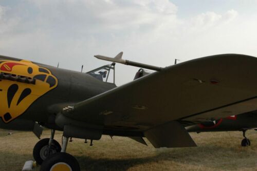 P-40