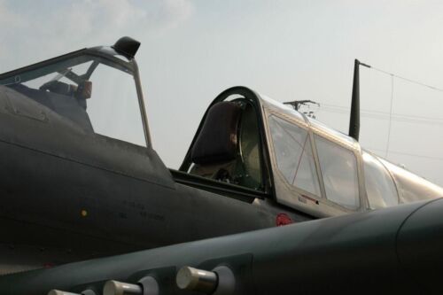 P-40
