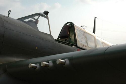 P-40